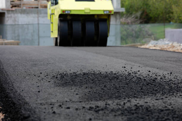 Best Residential Driveway Paver Services  in Northbrook, IL